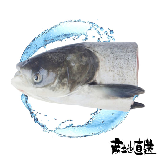 大頭魚(魚頭) 1個