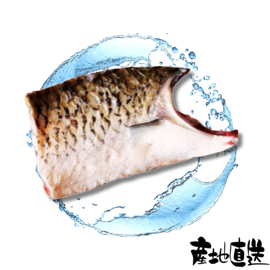 鯇魚(魚腩) 1份