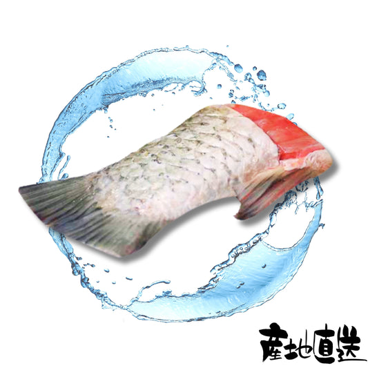 鯇魚(魚尾) 1件